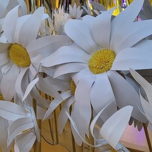 Meet your Posher, Alice